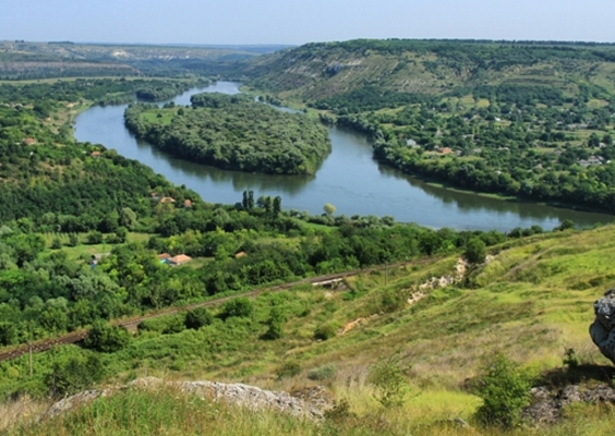 Natură